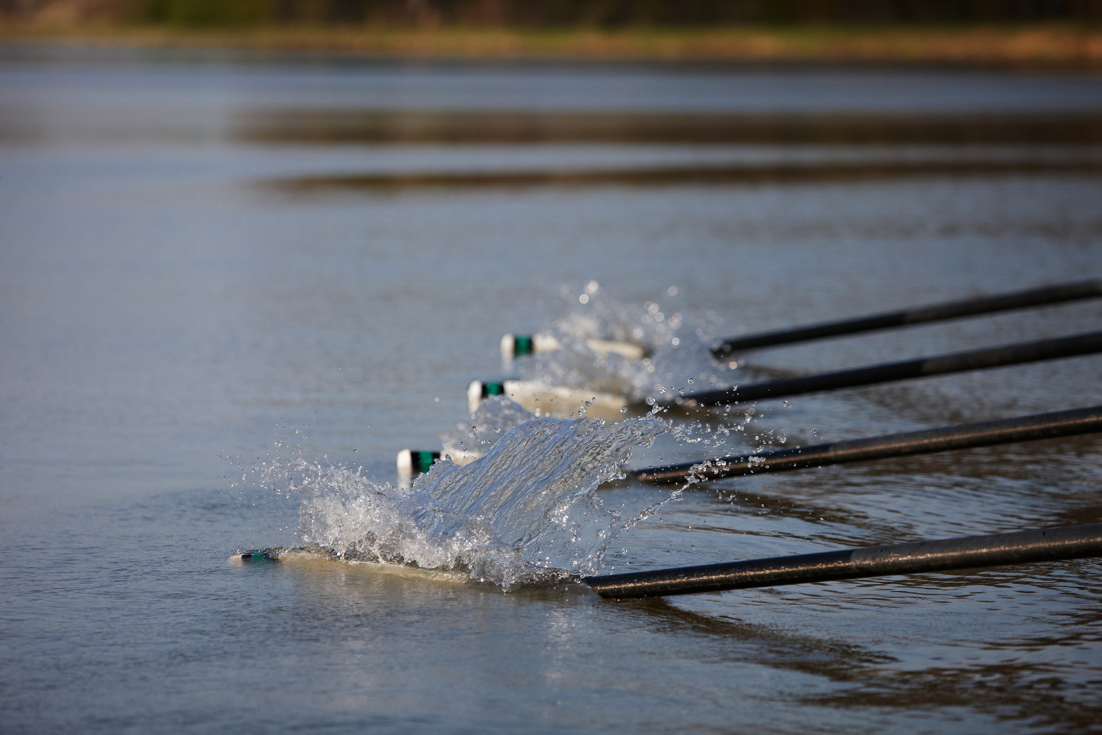 Blades gracefully entering the water